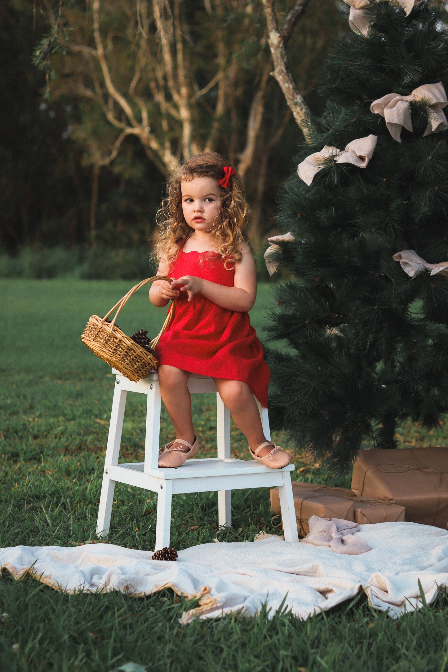 The Sofi Christmas Dress