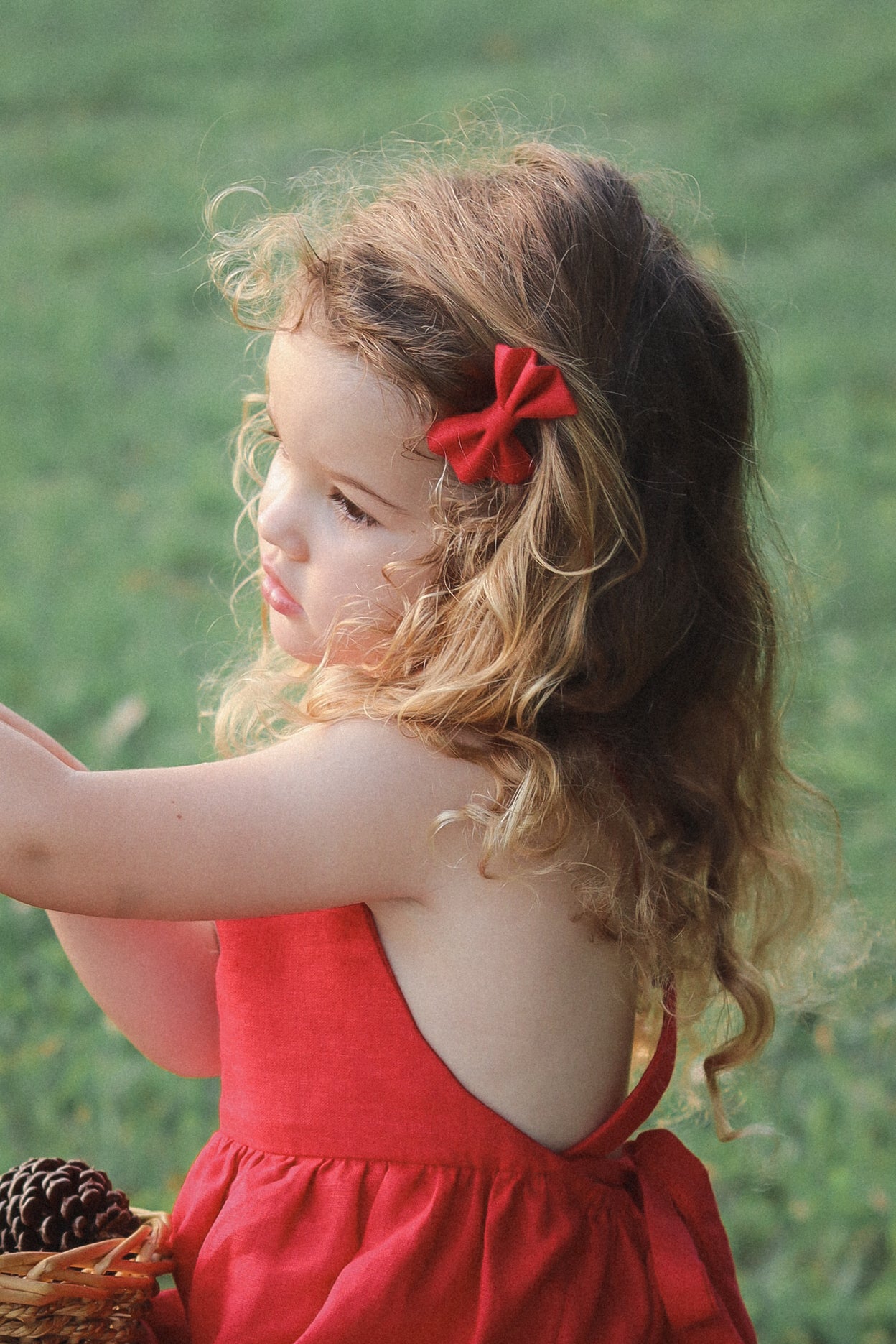 The Sofi Christmas Bow Clip Set